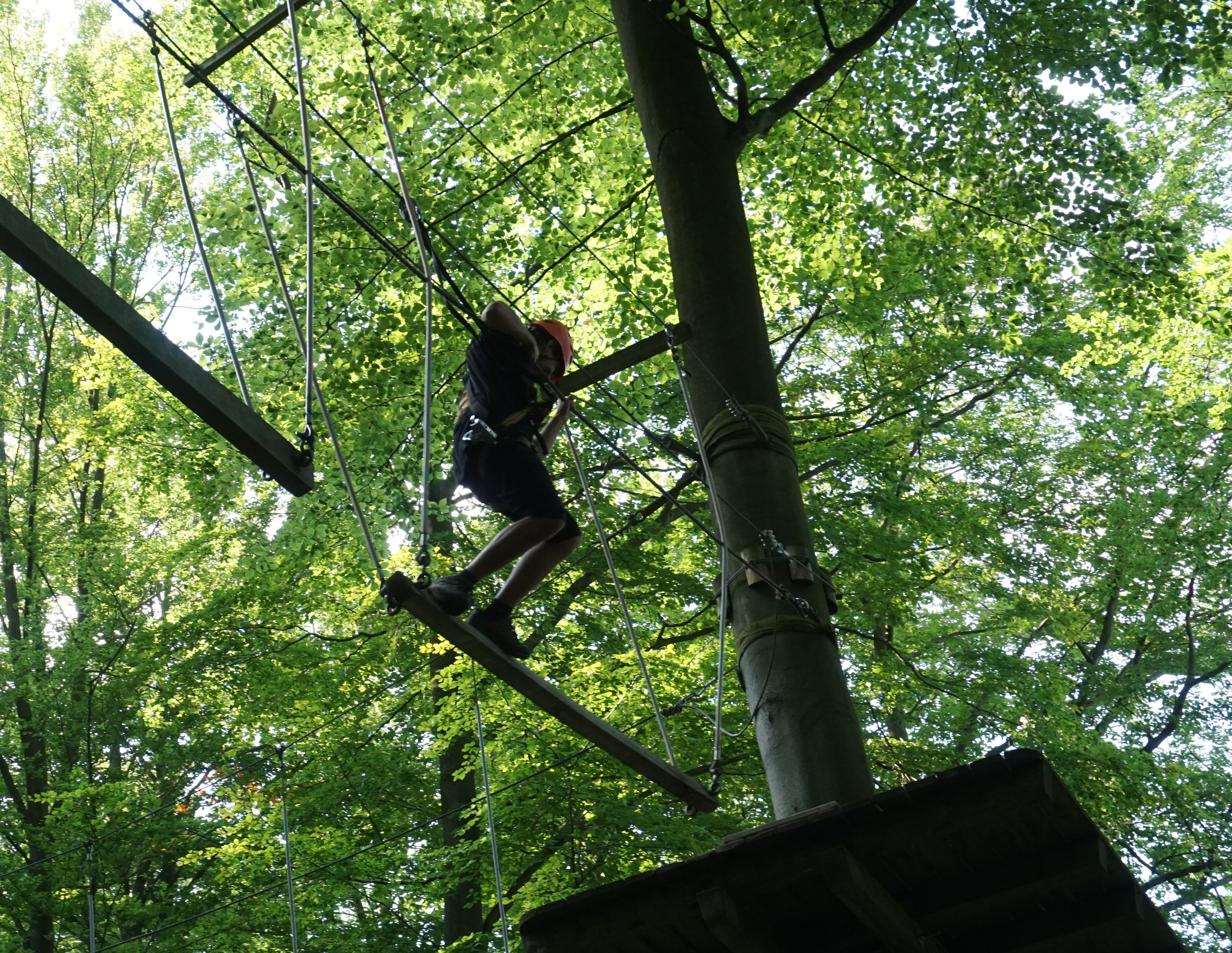 Lorem ipsum dolor sit amet, consetetur sadipscing elitred diam nonumy eirmod tempor invidunt ut labore.