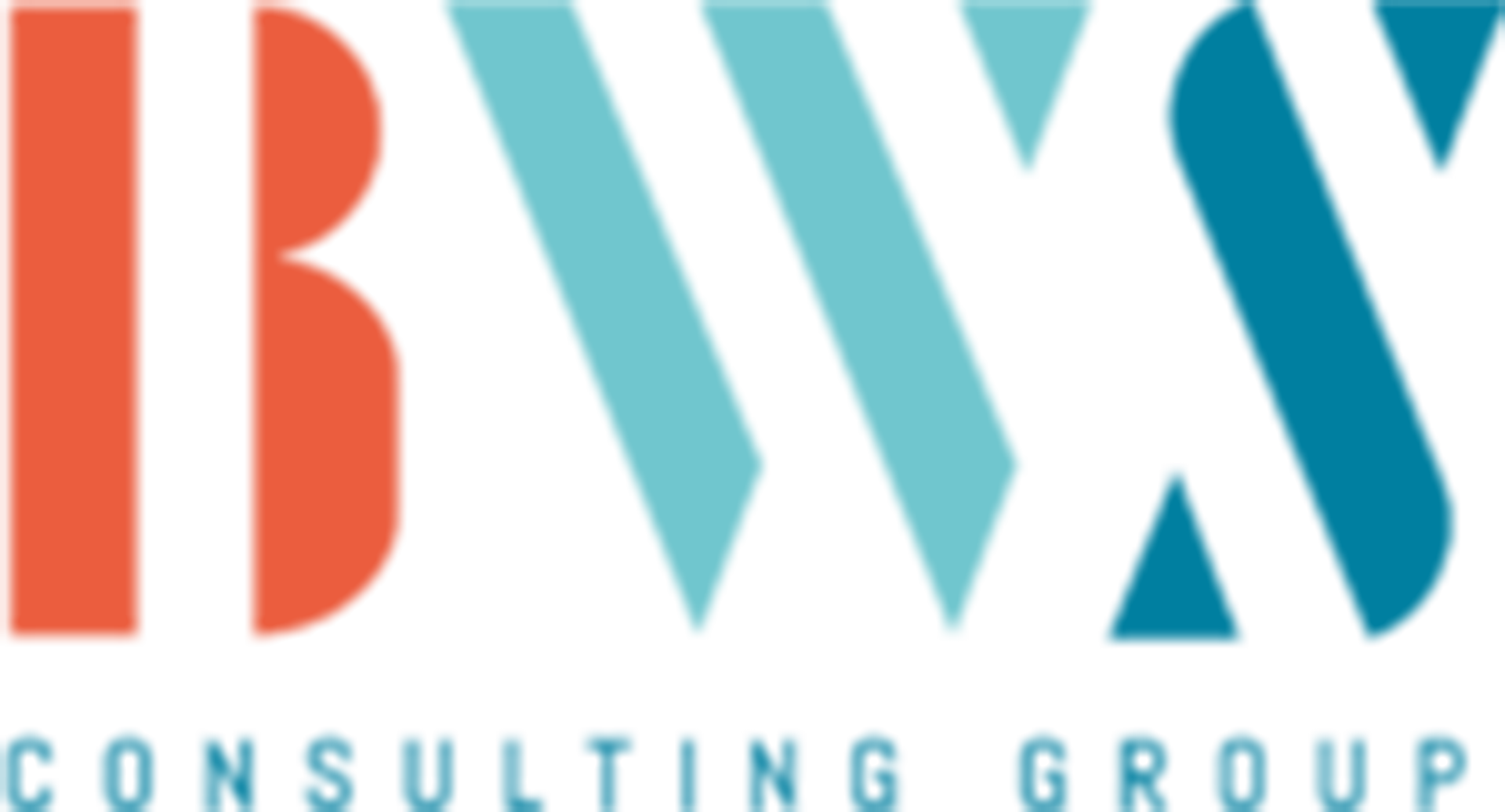 BWS CONSULTING GROUP GMBH