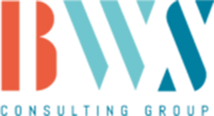 BWS CONSULTING GROUP GMBH