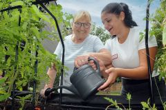 Ältere Frau gießt gemeinsam mit einer Pflegekraft ein Hochbeet mit Tomatenpflanzen. Beide lächeln und arbeiten eng zusammen im Garten.