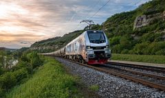 Zug fährt über eine Schiene an einem Hang