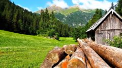 Idyllische Berglandschaft mit einer Almhütte, einer grünen Wiese und aufgestapelten Baumstämmen im Vordergrund unter blauem Himmel.