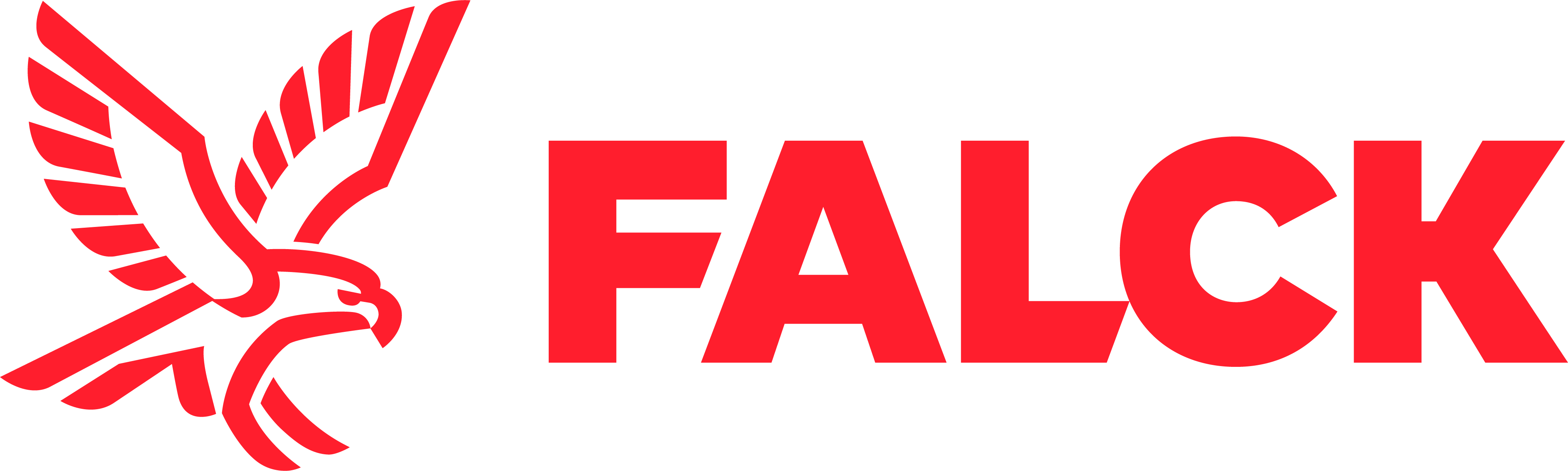 Falck Deutschland