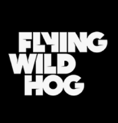 Flying Wild Hog Studios