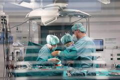 Das Bild zeigt drei Mitarbeiter bei einer Operation