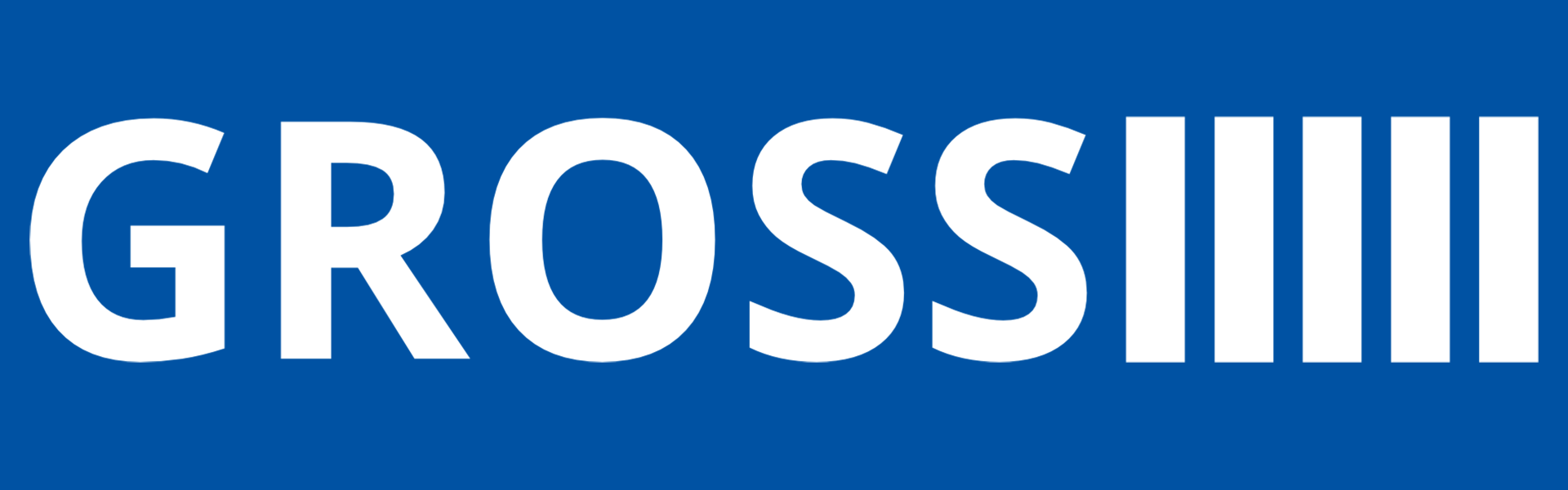 E+H Gross GmbH