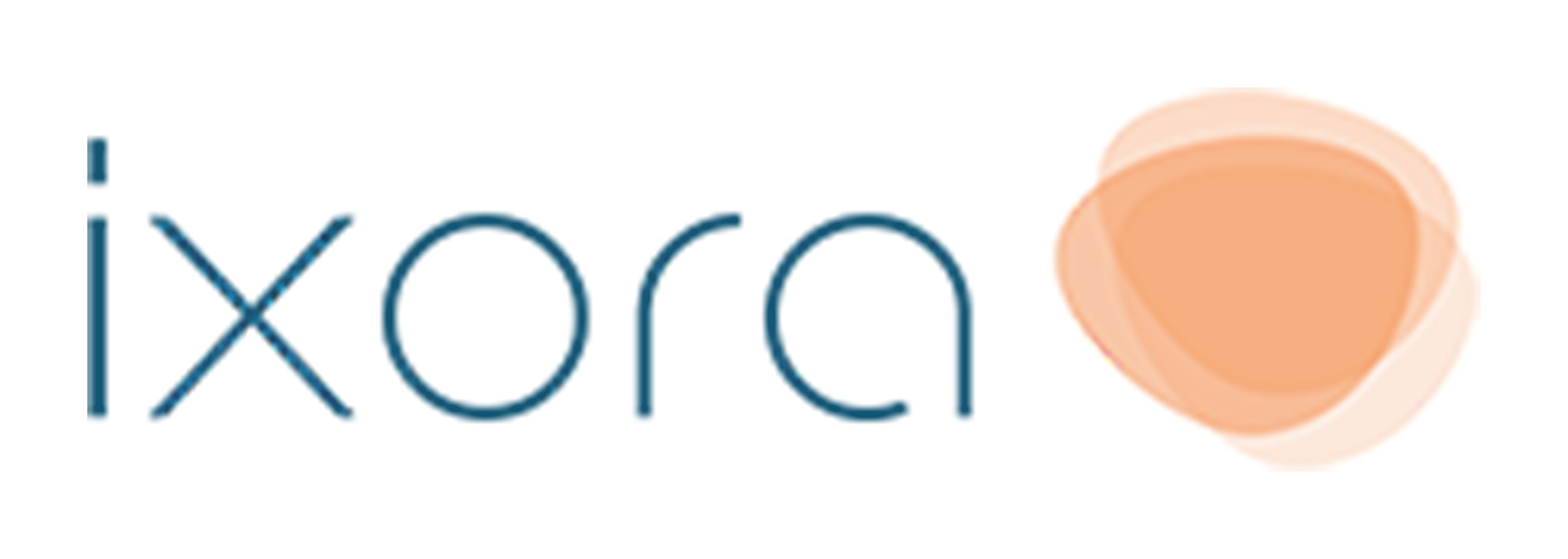 Ixora Conseil Demo
