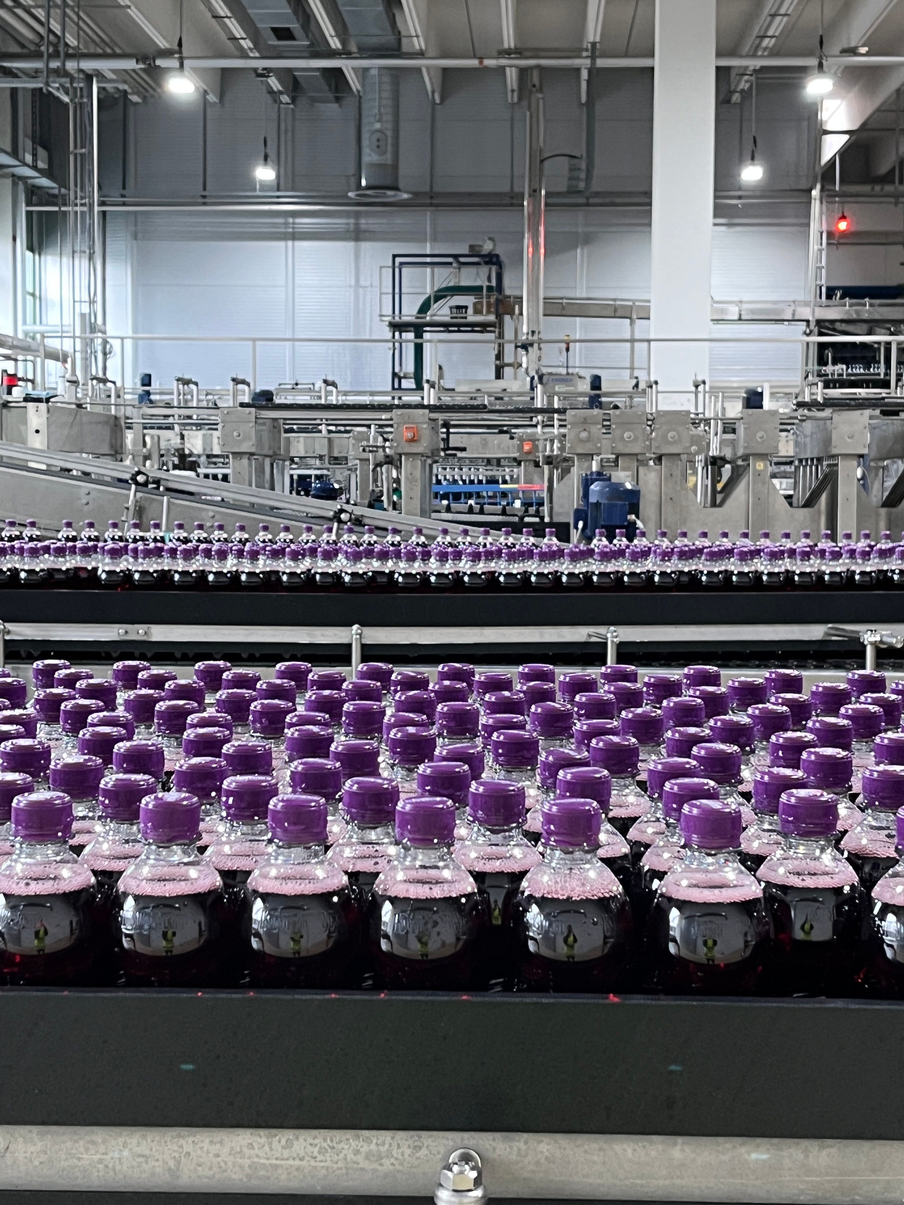 Lorem ipsum dolor sit amet, consetetur sadipscing elitred diam nonumy eirmod tempor invidunt ut labore.