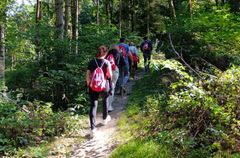 Mitarbeiter:innen wandern beim Magic-Outdoor-Tag