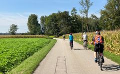 Mitarbeiter:innen machen Fahrradtour