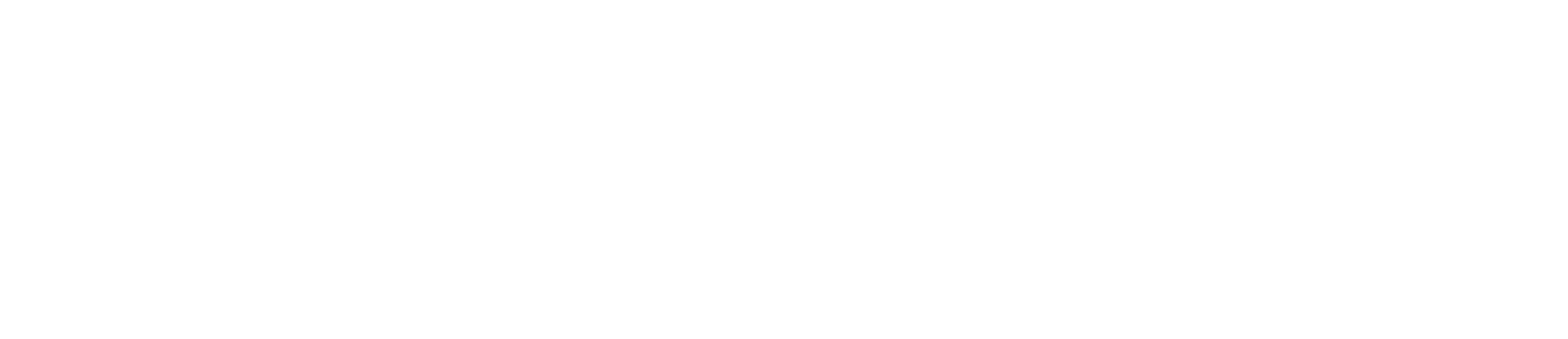 Puls Zeit GmbH Demo