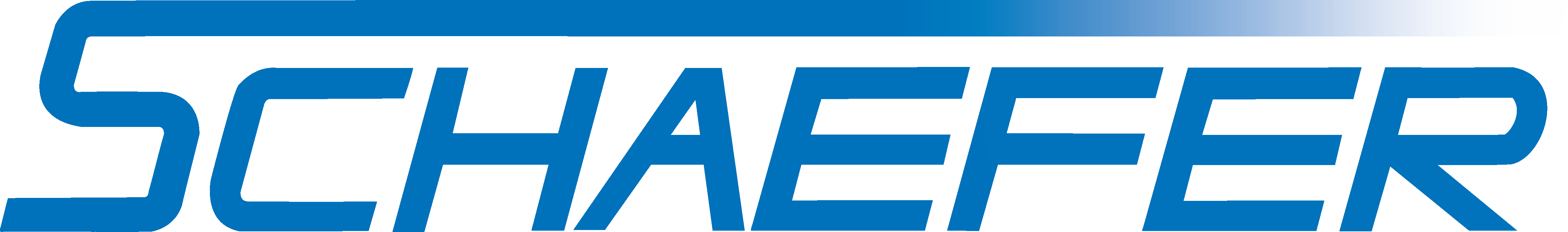 Schäfer Elektronik GmbH