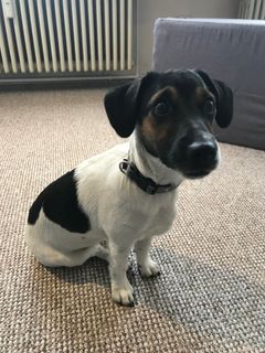 Foto von Luna