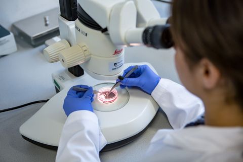 Medizinische Fachkraft untersucht Probe unter dem Mikroskop