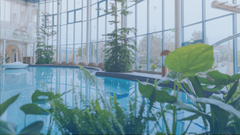 Großer Pool umgeben von Palmen