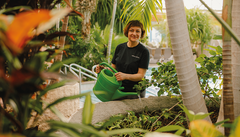 Mitarbeiter Gartenpflege