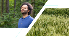 Split Image mit Naturaufnahmen. Ein Mann steht mit geschlossenen Augen und entspannter Haltung im Wald