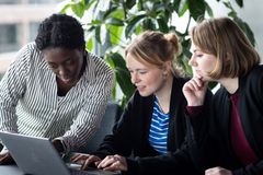 Miarbeitende schaut auf den Laptop