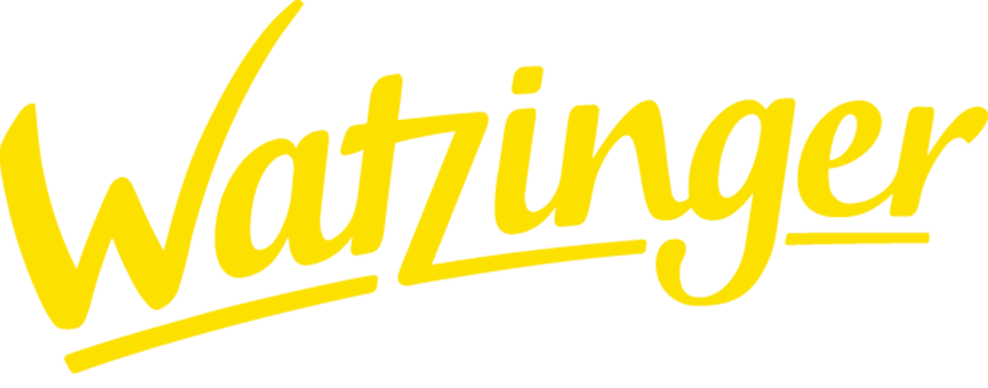 Busservice Watzinger GmbH & Co. KG
