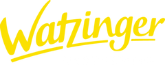 Busservice Watzinger GmbH & Co. KG