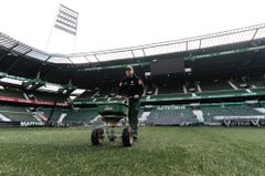 Greenkeeper pflegt den Rasen des Fußballstadions