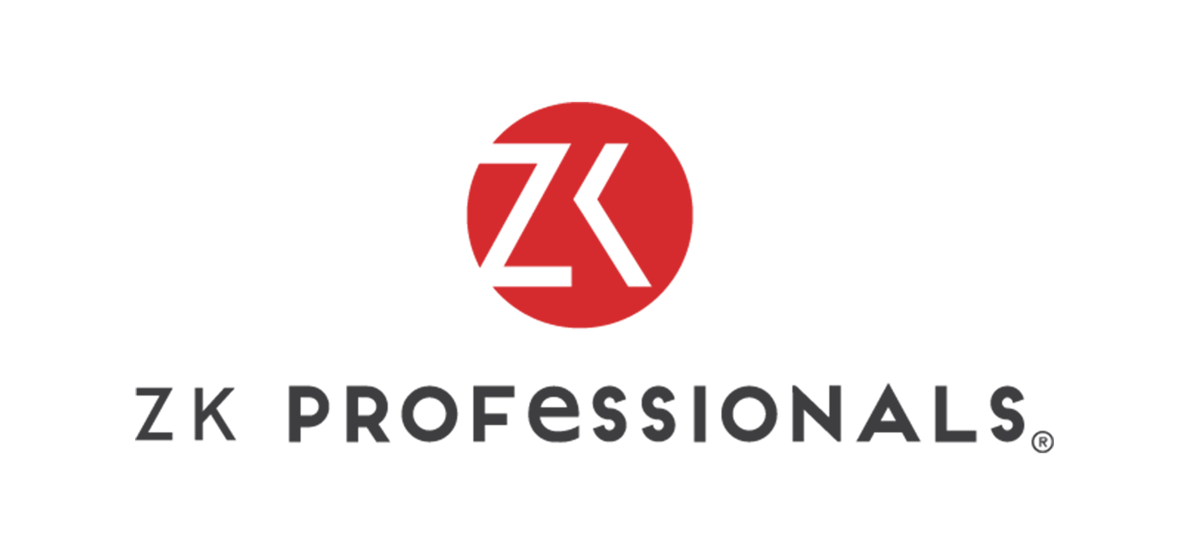 ZK PROFESSIONALS Demo